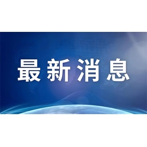 保险欺诈如何破？中国人寿用“反欺诈防护网”守护你我