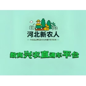 宋佳星：数商兴农政策红利与创业机遇的深度解析