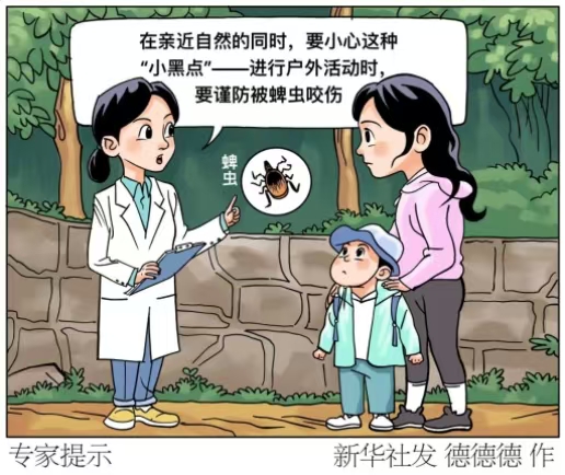 蜱虫活跃期 被叮咬后的正确做法是什么？专家提示(图1)